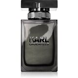 Karl Lagerfeld for Him toaletna voda za moške 50 ml Cene
