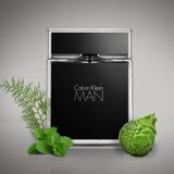Calvin Klein Man toaletna voda 100 ml za moške | Shoptok.si