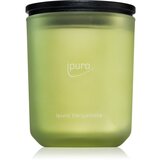 IPURO Classic Bergamote mirisna svijeća 270 g | shoptok.hr