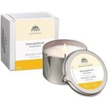 Pino Masažna sveča - med in ingver, 60g | Shoptok.si