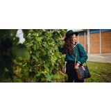 Vuch Brega | ePonuda.com
