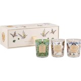 Baobab Collection Tomorrowland darilni set 1 kos | Shoptok.si