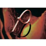 peek PT2A-PEEK-GY-C1-Peek vezica, (l x b) 145x3.4mm, braon, 1 ko
