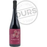Pinotte 0,75L