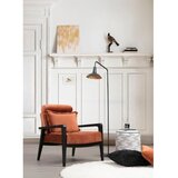  Apollo Cinnamon | ePonuda.com
