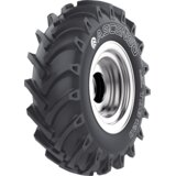 Ascenso 16,9-34 14PR 149A8 TDB120 - Skladišče 8 (Dostava 1 delovni dan) | Shoptok.si