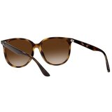 Ray-ban RB4378 710/13 ONE SIZE (54) Havana/Rjava | Shoptok.si