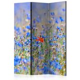 Artgeist Paravan Flower Garden, 3-Delni, Dvostranski | Shoptok.si