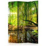 Artgeist Paravan Forest Stream, 3-Delni, Enostranski | Shoptok.si