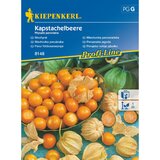 KIEPENKERL sjeme povrća (berba: lipanj - rujan, botanički opis: physalis peruviana) Cijene