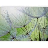  Foto tapeta - Fleeting moments 500x350 | shoptok.hr