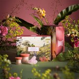 Payot Roselift Lifting Cares Ritual Set krema za lice Roselift Lifting Cream 50 ml + krema za područje oko očiju Roselift Lifting Eye Cream 15 ml + kamen za masažu lica za ženske | shoptok.hr