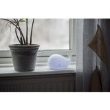 Star Trading Bijelo LED dječje noćno svjetlo Whale - | shoptok.hr