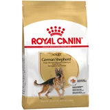 Royal Canin Ekonomično pakiranje: Breed - German Shepherd Adult (2 x 11kg)