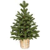  Novogodisnja jelka u saksiji zelena 90cm 250311 Cene