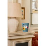 Baobab Collection Vony Tanteli dišeča sveča 1000 g | Shoptok.si