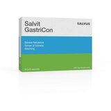 Salvit Gastricon 240Mg, 30 kapsula Cene