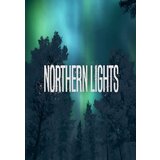  northern lights steam key global | ePonuda.com
