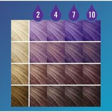 Schwarzkopf LIVE Drops sjenilo u boji - perivo nijansa Orchid Purple 30 ml | shoptok.hr