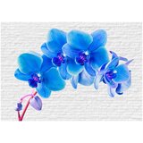  Tapeta - Blue excitation 150x105 | shoptok.hr