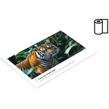 FOMEI Canvas Matt 380 G 61,0cm x 18m | Eponuda.ba