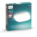 Philips 32810/31/P0 - LED prigušiva stropna svetiljka CANAVAL LED/18W/230V | Eponuda.com