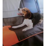 Master Auto podmetač za kućne ljubimce 135x80cm P.YF1505061-A | Eponuda.ba