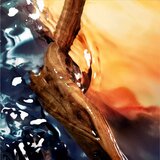Davidoff Cool Water Reborn parfemska voda za muškarce 50 ml | shoptok.hr