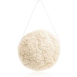 BrushArt Home Salon Konjac sponge nježna eksfolijacijska spužvica za lice Natural 4 g | shoptok.hr