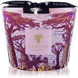 Baobab Collection Sacred Trees Massasso dišeča sveča 10 cm | Shoptok.si
