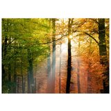  Samoljepljiva foto tapeta - Forest Colours 196x140 | shoptok.hr