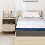  Jastučići za madrace Bijela i Plava 70 x 200 cm | shoptok.hr