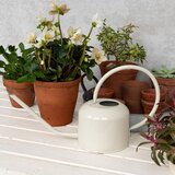 Rex London Metalna kanta za vodu 1 l – | shoptok.hr
