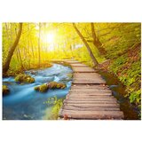  Samoljepljiva foto tapeta - Forest 294x210 | shoptok.hr
