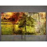 Sunny Tom Loris (1-delna stenska slika) | Shoptok.si
