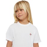Dickies Majica 'YOUTH MAPLETON ' črna / bela | Shoptok.si