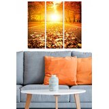 Wallity Set slika MDF3464546, 3 dijela | Eponuda.ba