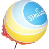 Spalding Lopta za košarku, Šarena | Eponuda.com