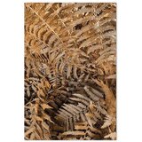 Slika - Mysterious Fern (1 Part) Vertical 40x60 | shoptok.hr
