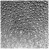 Dekorativna ploča od polistirola owocor (100 cm x 100 cm x 2,5 mm, kristal leda, prozirno, polistirol)