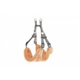 Ferribiella D.Am narandzasti Warm S 30-38cm | ePonuda.com