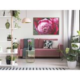  Poster - Blooming Rose 45x30 | shoptok.hr