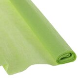 Junior jolly color crepe paper, krep papir, 50 x 200cm, odaberite nijansu pastel zelena Cene