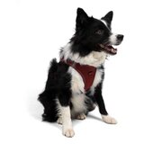 Paws & Whiskers Am za pse Air Mesh Claret Red 3XS | Eponuda.com