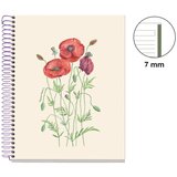 MiquelRius Kolegij blok A5 90g 80L spiralni crte Entredos Papaver Rhoedas MR4506 | shoptok.hr