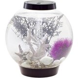 Oase Akvarij 15 l Sa LED rasvjetom 45616 | Eponuda.ba