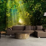  Tapeta - Road in Sunlight 400x280 Cijene