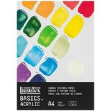 LIQUITEX Basics Blok za slikanje z akrilnimi barvami (300 g/m², DIN A4, Število lističev: 12 kos) | Shoptok.si