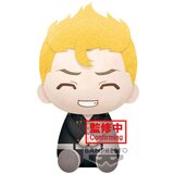 Bandai PELUCHE BIG TOKYO REVENGERS TAKEMICHI HANAGAKI, (21240346) | Shoptok.si