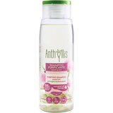 Anthyllis Pročišćavajući šampon - 300 ml Cijene